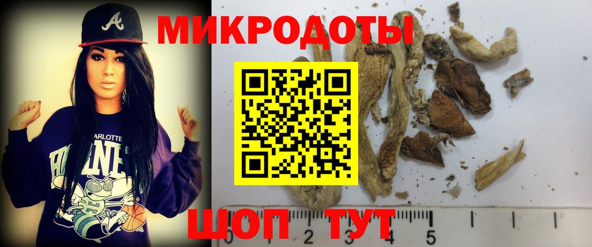 Нижний Новгород  Галлюциногенные грибы Magic Shrooms  Вход с VPN 